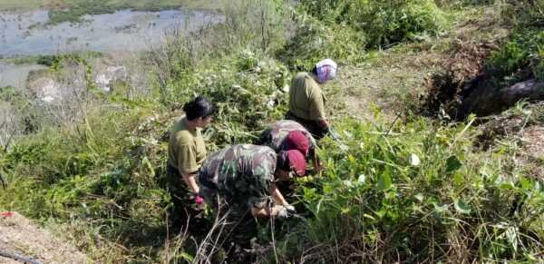 E:\Peter NG\FMD\Photo for Website\Website Content\FMD\Photo & Script\293 2021-10-24 Luk Keng Redoubt COnservation\20211024_133734.jpg